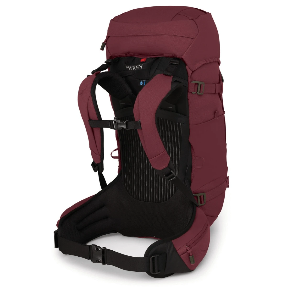 Osprey Archeon 45 Backpack - Women's 5 Osprey Archeon 45 Backpack - Women's - Image 3
