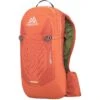 Gregory Drift 10L Backpack - Men's 2 Gregory Drift 10L Backpack - Men's -Outdoor Sports Shop 215345 1200 auto