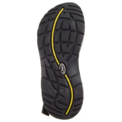 Chaco ZX/2 Classic Sandal - Women's -Outdoor Sports Shop 824638 1200 auto